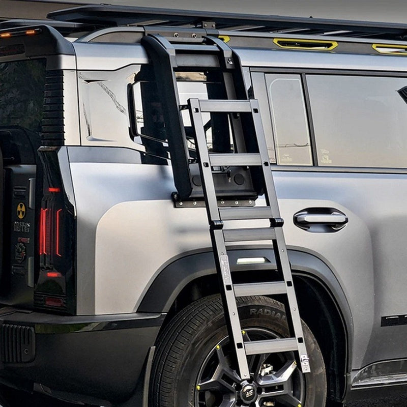 Defender 130 Rear Ladder