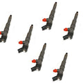 Range Rover L322 Injector Set