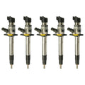Range Rover Sport L320 Injector Set
