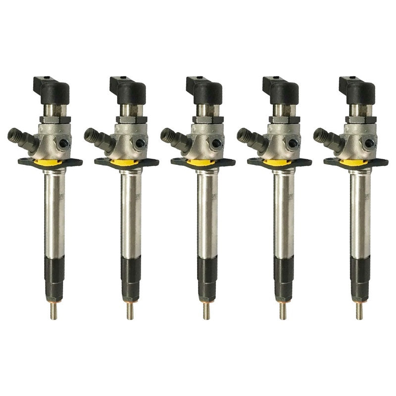 Range Rover Sport L320 Injector Set